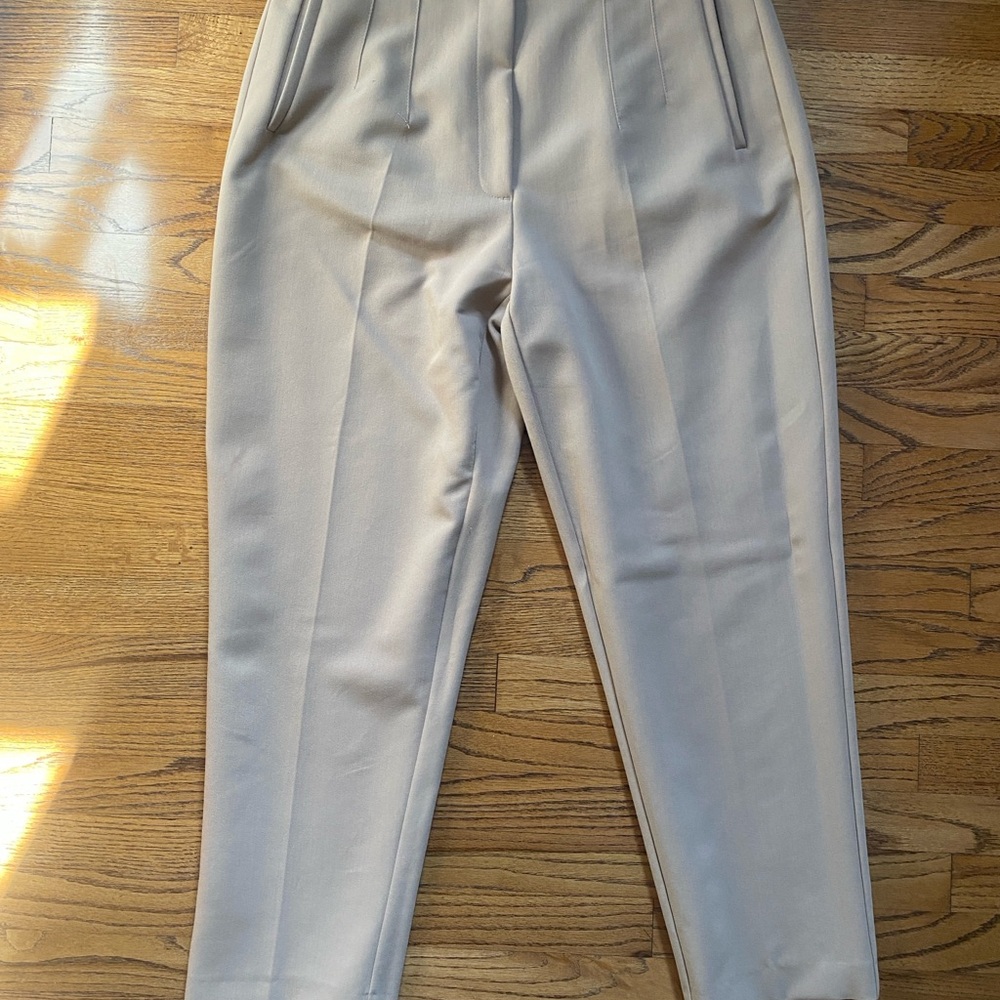 Zara Tan Trousers | XL